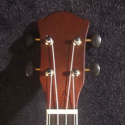 Handmade Cutaway Tenor Ukulele, Solid Acacia, Archback, Dog Inlay, Soft-bag, Bruce Wei UAJ17-2013 image 7