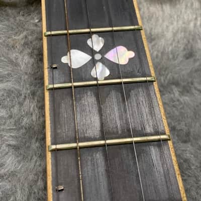 Gold Tone OB-250 Orange Blossom 5-String Banjo image 6