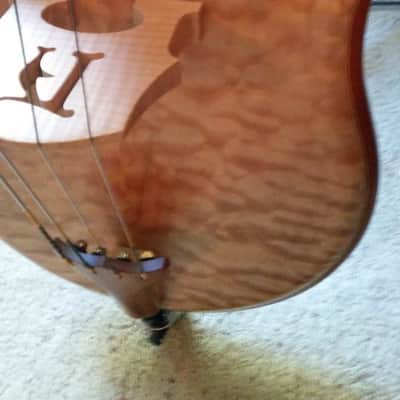 Alembic Classico Upright Electric fretless image 3