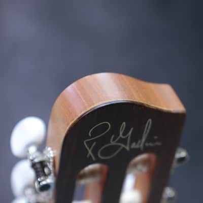 Godin Multiac Nylon Encore Spruce Lightburst SG Prototype "B-Stock" Electro-Classical Guitar w/Bag image 20