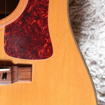 Rare Vintage JAPAN made Washburn D30S 1995 Cedar + Birdseye Maple + Pro Setup image 7