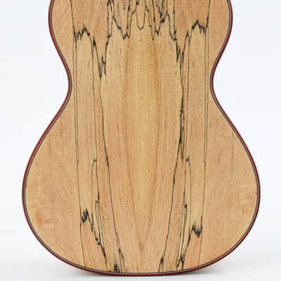 Cordoba 24T Tenor Spruce Ukuele image 8