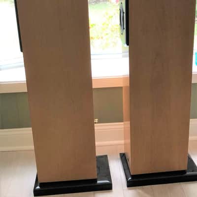 Salk SongTower QWT  Speakers image 3