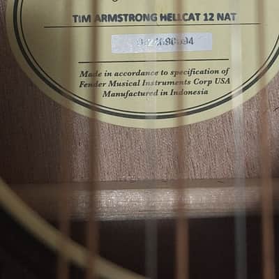 Fender Tim Armstrong 12 String Hellcat Matte Acoustic/Electric Very Nice! image 10