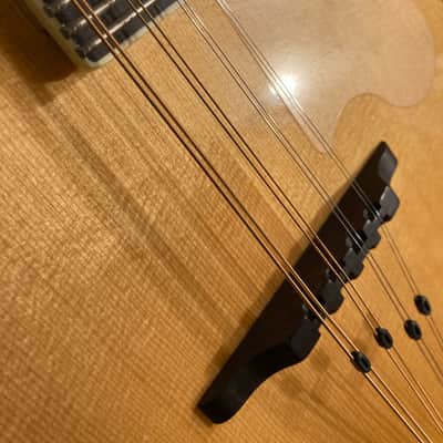 Tacoma  M3 - Mandolin - Stunning - Hard Case image 10