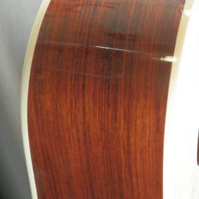 A LoPrinzi LR-20 Dreadnought Acoustic Guitar with case used image 22