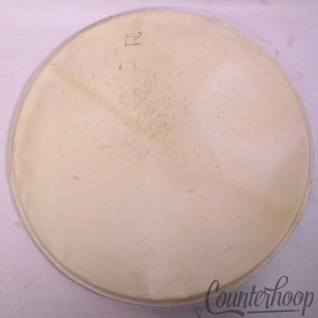 Ludwig & Ludwig 22"Calf Skin Bass Drum Head Batter/Resonant Cow Logo Vintage 40s — main photograph