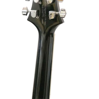 PRS SE Hollowbody Standard 2025 - Present - Dog Hair Smokeburst image 4