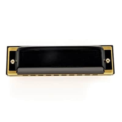 Hohner MS Series Pro Harp, 10 Hole Diatonic Harmonica, Eb Major - M564046P image 6