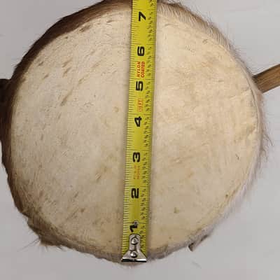 Djembe Drum African Hand Carved W/ 7" Goat Skin Head Height 12" image 9