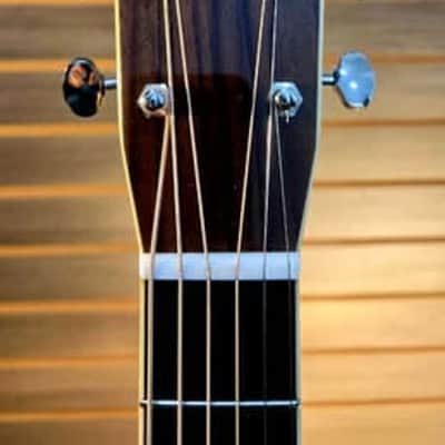 Gallagher G70 2024 - Natural Gloss image 12