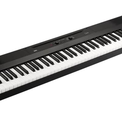 Korg - Liano Pianoforte digitale Portatile image 1