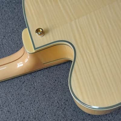 D'Angelico Excel EXL-1 Hollow Body Archtop with Pau Ferro Fretboard Natural image 19