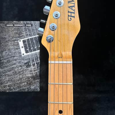 Hamer USA T51 1994 image 4