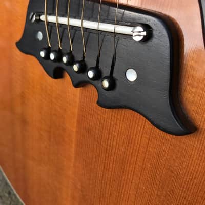 Epiphone FT-120 Excellente 1964 Natural image 13