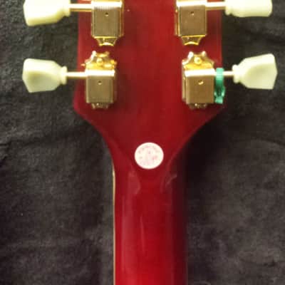 Jay Turser Les Paul Style Electric Guitar image 8
