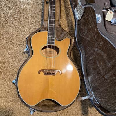 Daion The Year Series '81 Caribou - Tinted Tan (TAN) - Electric Acoustic Six String image 24