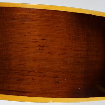 Brach Tamburitza Guitar-Bodied 5-string, Rosewood and Spruce, Great Sound! image 6