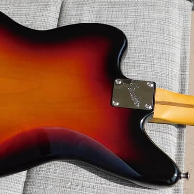 Fender American Professional Classic Jaguar Electric Guitar w/Eyeglass Case 2025 image 17