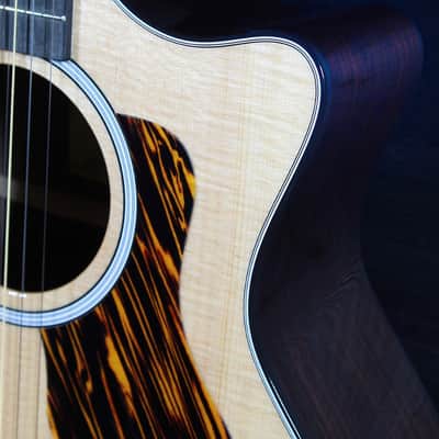 Taylor 414ce 8-String Baritone Acoustic-Electric Guitar – Sitka Spruce / Indian Rosewood – Tone Show Exclusive image 20