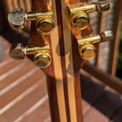 Carvin SH575  - Dragonburst -rare! image 4