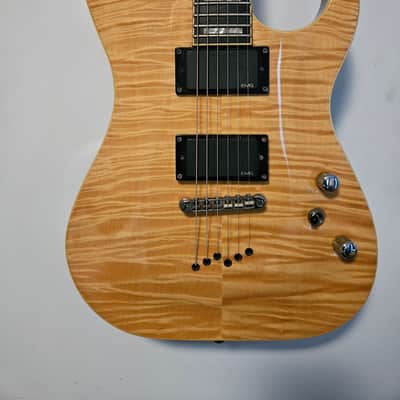 Washburn X50 PROFE 2005 - Natural image 2