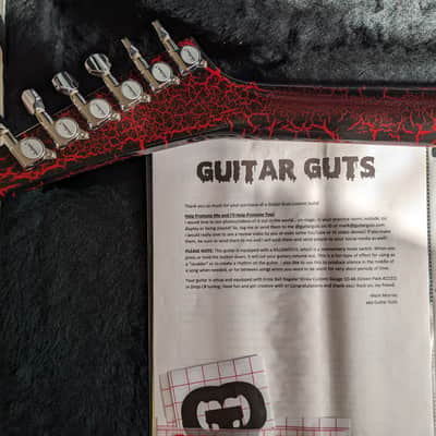 Jackson King V MIJ KV4 2000 GuitarGuts Custom image 5
