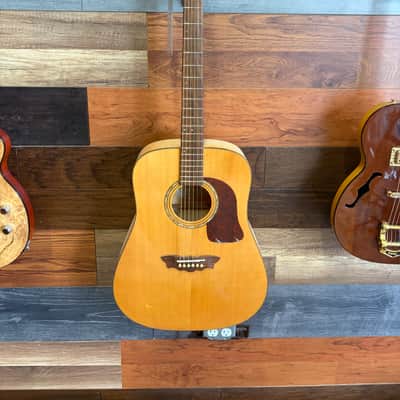 Washburn D48 SW Acoustic image 2