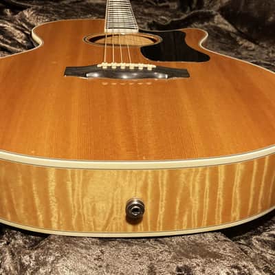 Guild F65ce Westerly Rhode Island Limited Top of the Line Model image 15