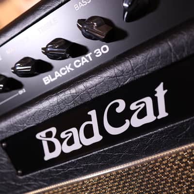 Bad Cat Mod Shop Black Cat 30 2-Channel 30-Watt 1x12" Guitar Combo 2026 - Present - Various image 6