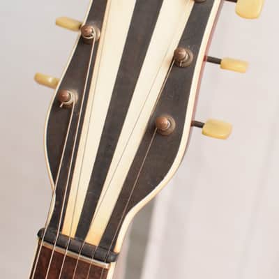 Hopf / Gustav Glassl – 1950s German Vintage Archtop Jazz Guitars / Gitarre image 10
