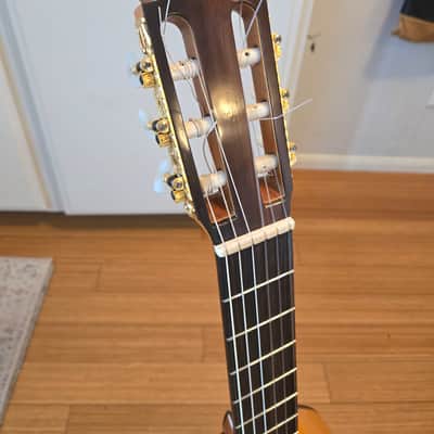 Shelton Farretta Concert Guitar 1974 - Flamenco - Cedar top, Cypress back and sides, Ebony Fretboard image 4