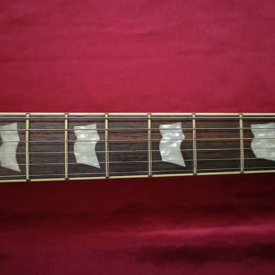 ESP LTD EC-1000 Piezo with Rosewood Fretboard 2017 - See Thru Black image 5