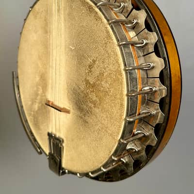 Vega Tubaphone Professional Tenor Banjo 1924 image 8