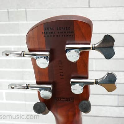 Spector Euro 4 RST - Sienna Stain image 19