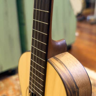 Artimúsica Traditional Luthier 10 String "Viola de Arame" Madeira image 23