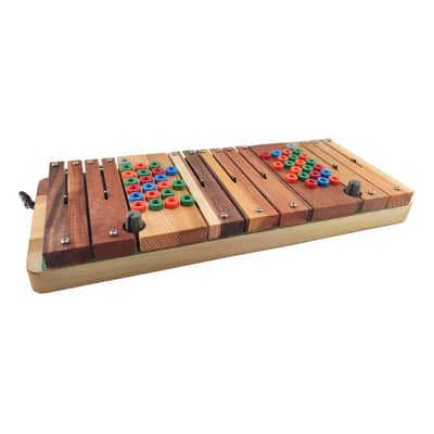 Ciat-Lonbarde Sidrax Organ Wooden Analog Polyphonic Touch Synthesizer image 11