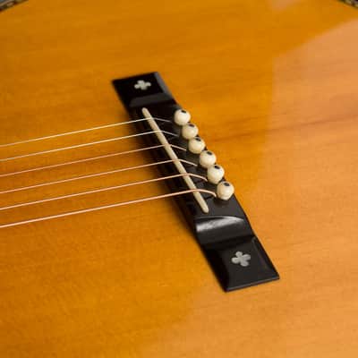 Fraulini Ermida Flat Top Acoustic Guitar (2020), ser. #E-256, Ameritage hard shell case. image 15