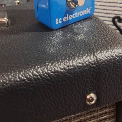 TC Electronic Flashback Delay & Looper 2014 - 2017 - Blue image 1