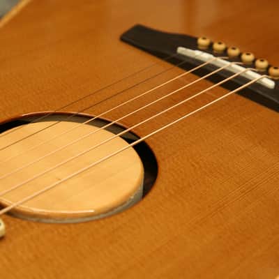 LR Baggs AEG-1 Torrefied Sitka Spruce Dreadnought Acoustic-Electric Guitar image 12