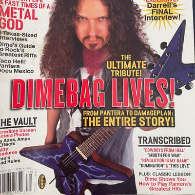 Washburn dimebag  D3  1998 Dimebolt image 17