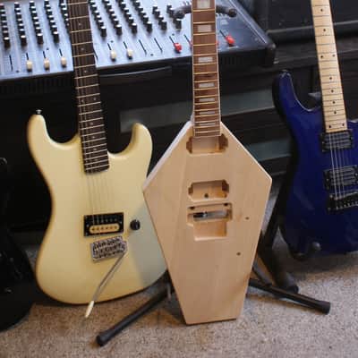 Coffin Shaped Electric Guitar For Project, Graveyard D Style, make it your own!! image 1