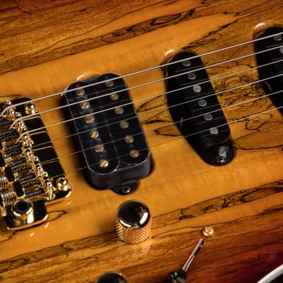 James Tyler Studio Elite HD-P Spalted Maple - Honey Burst image 15