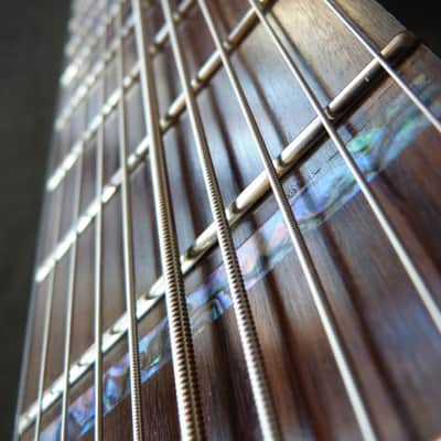Dragonfly DF10-A (Acoustic/Electric Chapman Stick) image 13