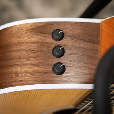 Taylor 210ce Dreadnought Acoustic/Electric Guitar with Gig Bag image 8