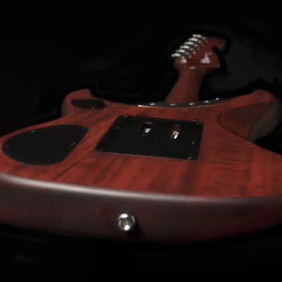 Washburn 6 String Solid-Body Electric Guitar, Padauk Vint. Matte (N24PSVINTAGEK-D) image 3