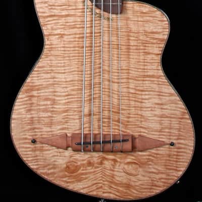Renaissance Bass RB5 2015 image 1