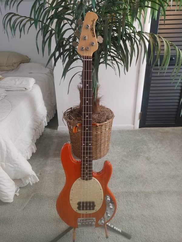 Ernie Ball Music Man StingRay 4 H with Rosewood Fretboard