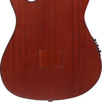 Ibanez FRH20SMN Thinline Acoustic-Electric Classical Guitar, Spalted Maple Top, Tobacco Burst image 3