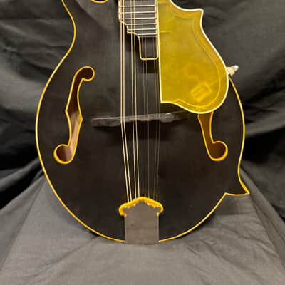 Johansson F5 Mandolin No.77 2026 - Satin Faded Victorian image 2